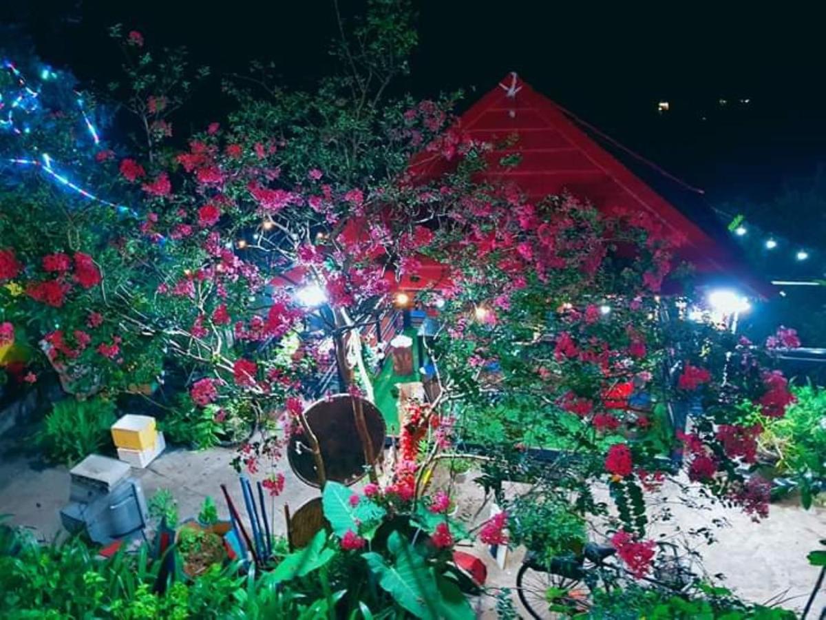 Sa Moc House Tam Dao - Venuestay 河内 外观 照片